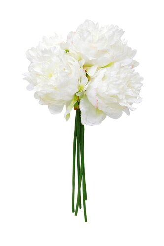Pioenroos Zijde - 48cm Wit (bundel 5) - afbeelding 1