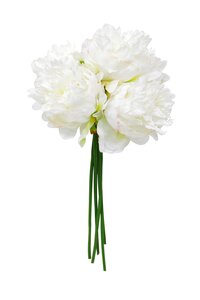 Pioenroos Zijde - 48cm Wit (bundel 5) - afbeelding 1
