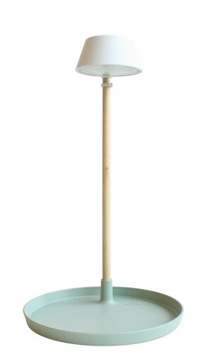 plant light care gletsjer grijs