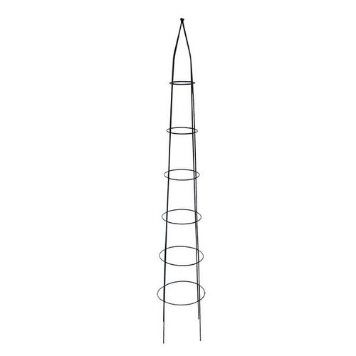 Plantensteun pyramide M