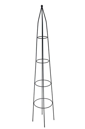 Plantensteun pyramide S