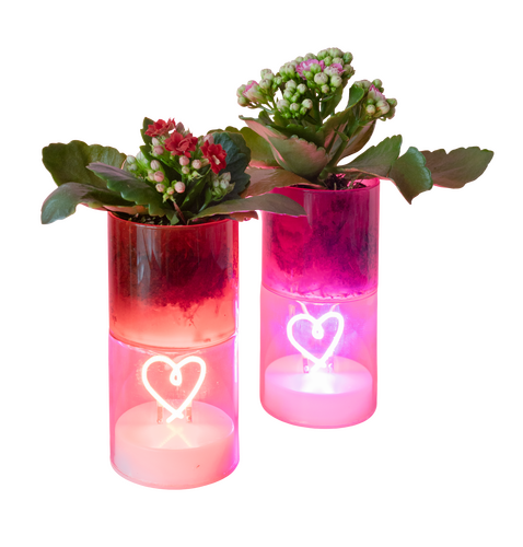 Plantje met LED hartje, incl. batterijen