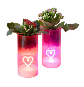 Plantje met LED hartje, incl. batterijen