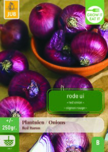 PLANTUIEN / ONION RED BARON 250 GRAM