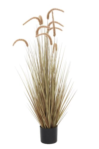 Pluimgras Dogtail Kunstplant - H122cm Naturel