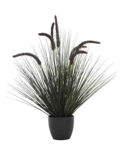Pluimgras Dogtail Kunstplant - H68cm Zwart