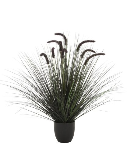 Pluimgras Dogtail Kunstplant - H89cm Zwart