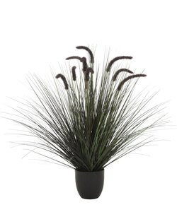Pluimgras Dogtail Kunstplant - H89cm Zwart