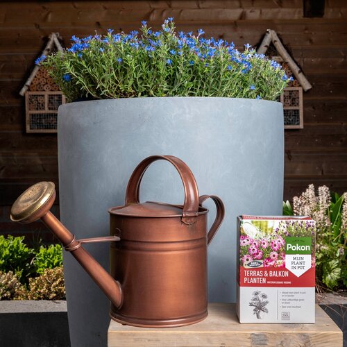 Poeder wateroplos 500gr - afbeelding 3