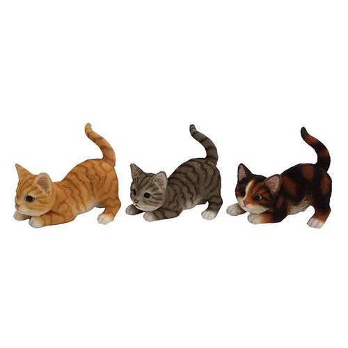 Poes spelend ass.