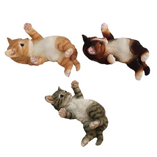 Poes spelend op rug ass.