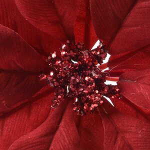 Poinsettia op clip - D24xH7cm Rood - afbeelding 5