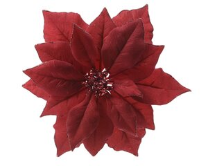 Poinsettia op clip - D24xH7cm Rood - afbeelding 1