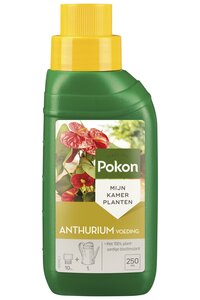 Pokon Anthurium Voeding 250ml  - afbeelding 1