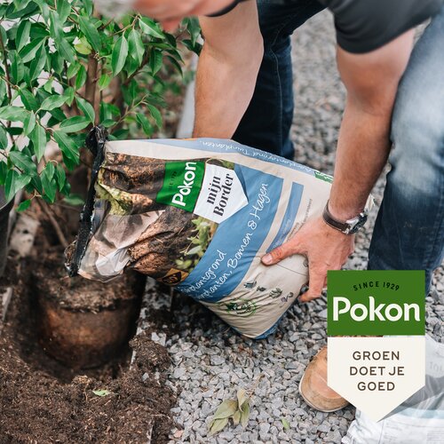 Pokon Bio Aanplantgrond Tuinplanten, Bomen & Hagen Turfvrij 45L - afbeelding 3