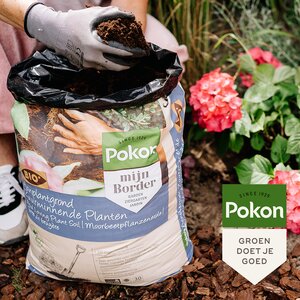 Pokon Bio Aanplantgrond voor Zuurminnende Planten 30L  - afbeelding 4