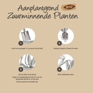 Pokon Bio Aanplantgrond voor Zuurminnende Planten 30L  - afbeelding 5