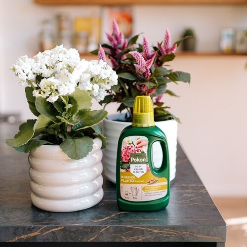 Pokon Bio Bloeiende Planten Voeding 500ml - afbeelding 4