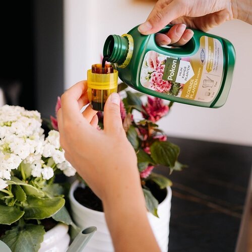 Pokon Bio Bloeiende Planten Voeding 500ml - afbeelding 5