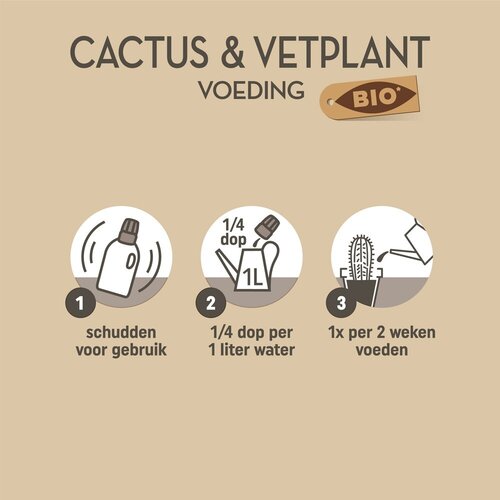 Pokon Bio Cactus & Vetplant Voeding 250ml - afbeelding 3