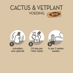 Pokon Bio Cactus & Vetplant Voeding 250ml - afbeelding 3