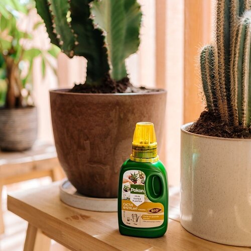 Pokon Bio Cactus & Vetplant Voeding 250ml - afbeelding 4