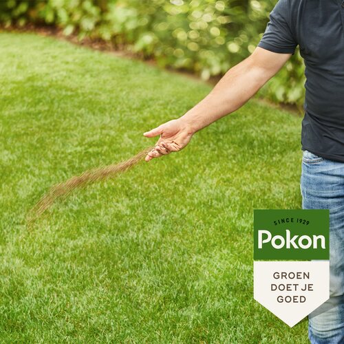 Pokon Bio Gazonmest 8,4kg voor 125mВ  - afbeelding 3