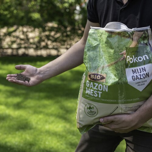 Pokon Bio Gazonmest 8,4kg voor 125mВ  - afbeelding 4