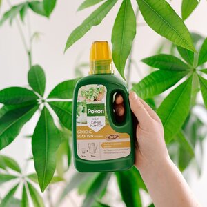 Pokon Bio Groene Planten Voeding 250ml - afbeelding 4