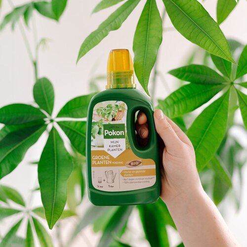 Pokon Bio Groene Planten Voeding 500ml - afbeelding 4