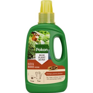 Pokon Bio Ilex & Buxus Voeding 500ml  - afbeelding 1