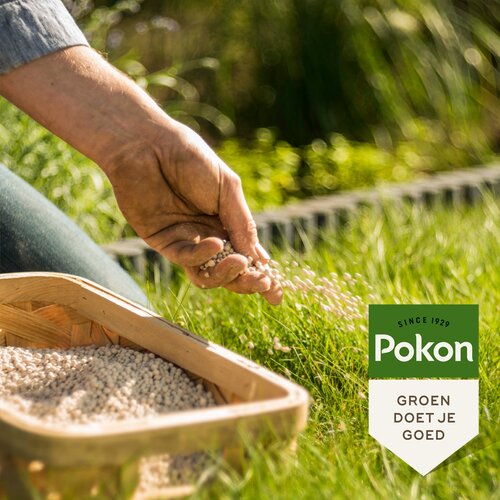 Pokon Bio Kalk 10kg voor 100mВ - afbeelding 5