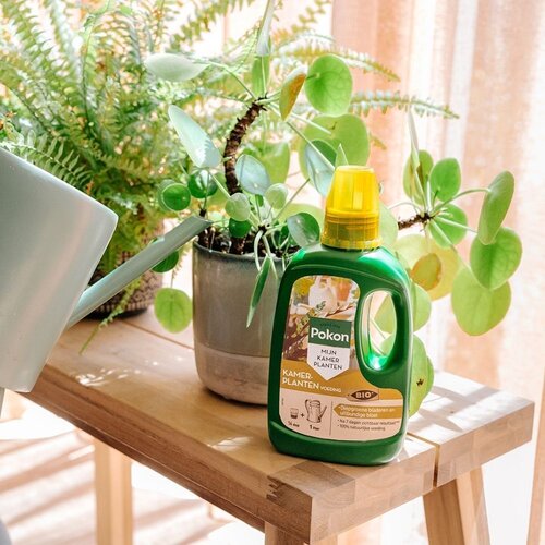 Pokon Bio Kamerplanten Voeding 250ml - afbeelding 4