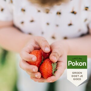 Pokon Bio Kleinfruit Mest 1kg  - afbeelding 4
