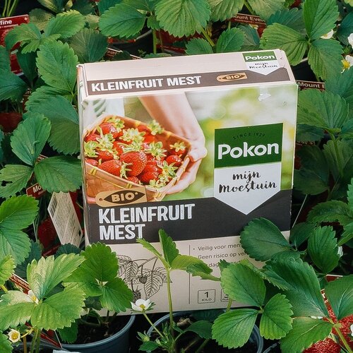 Pokon Bio Kleinfruit Mest 1kg  - afbeelding 5
