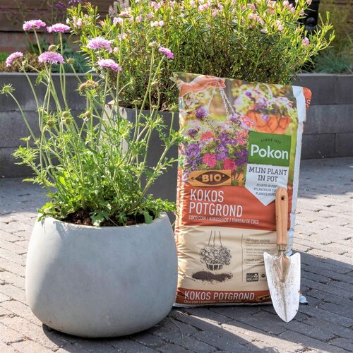 Pokon Bio Kokos Potgrond 20L - afbeelding 5
