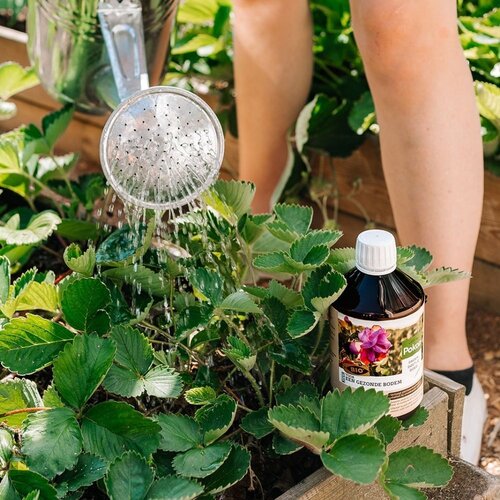Pokon Bio Kuur voor een Gezonde Bodem Concentraat 500ml - afbeelding 4
