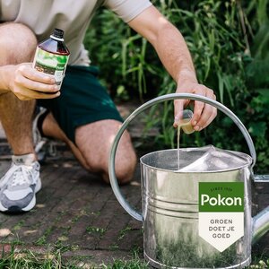 Pokon Bio Kuur voor een Weerbaar en Gezond Gazon Concentraat 500ml - afbeelding 3