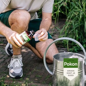 Pokon Bio Kuur voor een Weerbaar en Gezond Gazon Concentraat 500ml - afbeelding 4