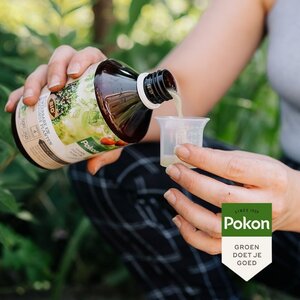 Pokon Bio Kuur voor Weerbare en Gezonde Planten Concentraat 500ml - afbeelding 4