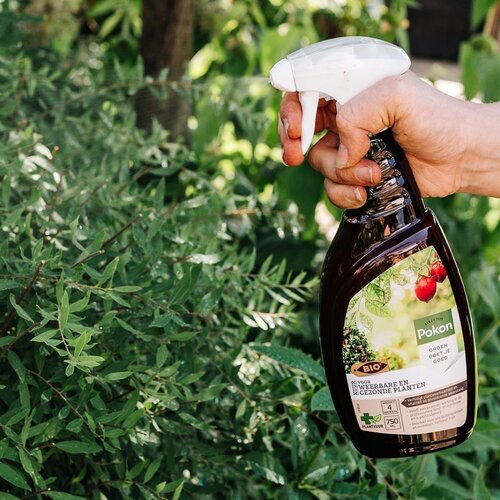 Pokon Bio Kuur voor Weerbare en Gezonde Planten Spray 750ml - afbeelding 4