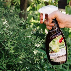 Pokon Bio Kuur voor Weerbare en Gezonde Planten Spray 750ml - afbeelding 4