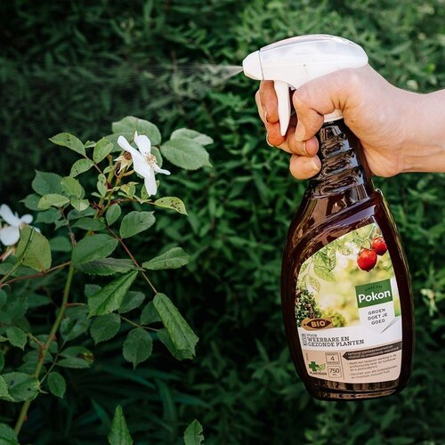 Pokon Bio Kuur voor Weerbare en Gezonde Planten Spray 750ml - afbeelding 5