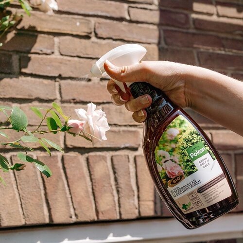 Pokon Bio Kuur voor Weerbare en Gezonde Rozen Spray 750ml - afbeelding 4