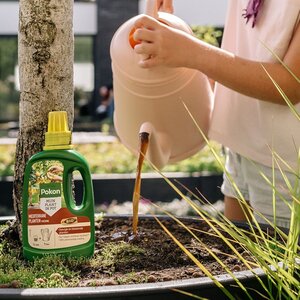 Pokon Bio Mediterrane Planten Voeding 500ml - afbeelding 4