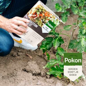 Pokon Bio Moestuin Mest 1kg  - afbeelding 5