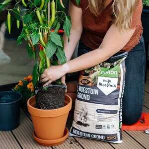 Pokon Bio Moestuingrond Turfvrij 20L - afbeelding 5