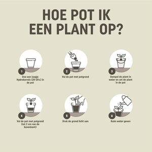 Pokon Bio Moestuingrond Turfvrij 40L - afbeelding 4