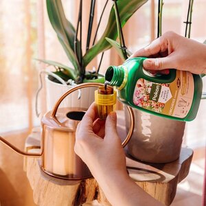 Pokon Bio Orchidee Voeding 250ml - afbeelding 5