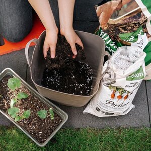Pokon Bio Perliet 6L - afbeelding 3